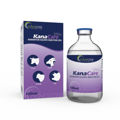 Kanamycin Sulfate Injection (1 box and 1 vial)