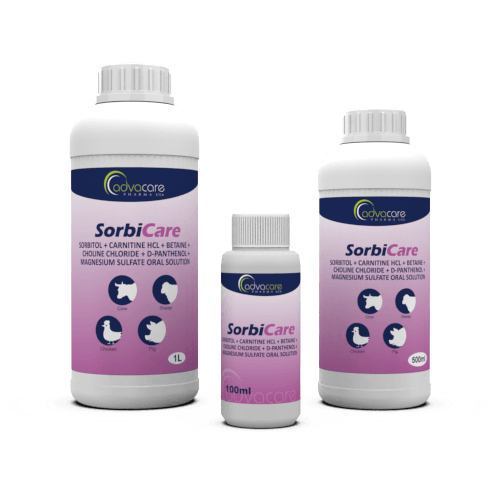 Solución Oral de Sorbitol + Carnitina HCl + Betaína + Cloruro de Colina + D-Pantenol + Sulfato de Magnesio (100ml botella, 500botella de ml y 1botella de L)