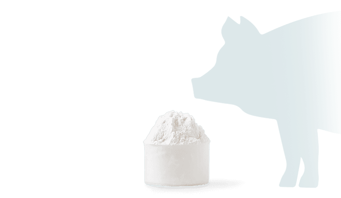 Veterinary Powders and Premixes