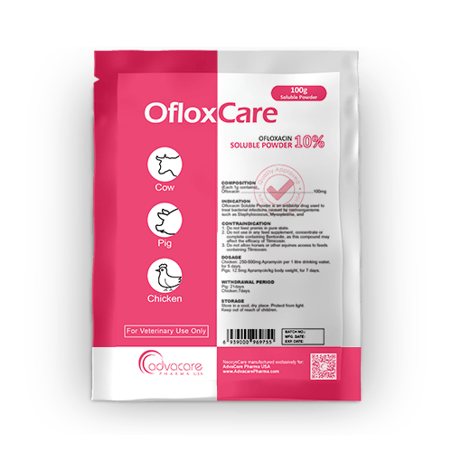 Poudre Soluble d'Ofloxacine (1 sac)