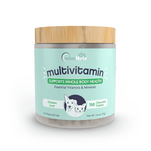 Comprimés Masticables Multivitamines (1 bouteille)