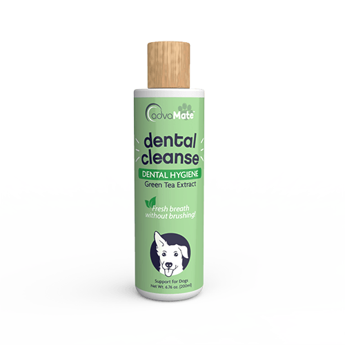 Cleanse a dent for dogs best sale