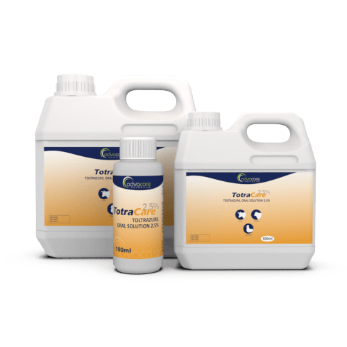 Toltrazuril Oral Solution (100ml bottle, 500ml bottle and 1L bottle)