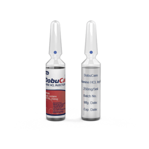 Dobutamine HCl Injection (1 ampoule ceramic printing and 1 ampoule labelling)