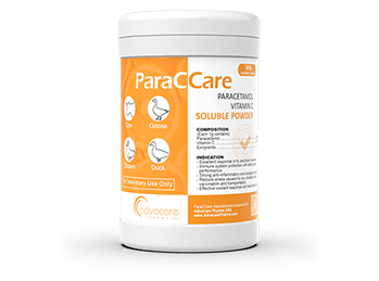 advacarepharma-paracetamol-vitamin-c-soluable-powder