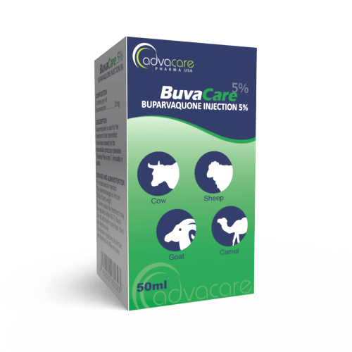 Buparvaquone Injection (box of 1 vial)