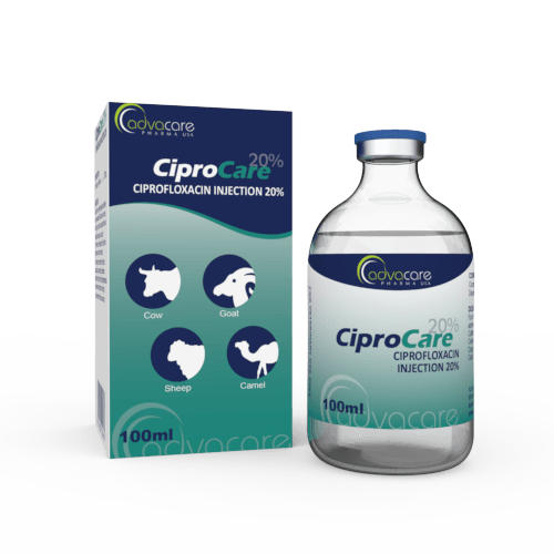 Ciprofloxacin Injection (1 box and 1 vial)