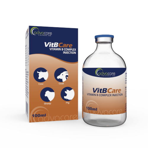 Inyección de Complejo de Vitamina B (1 caja y 1 frasco)