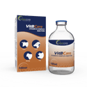 Vitamin B Complex Injection (1 box and 1 vial)