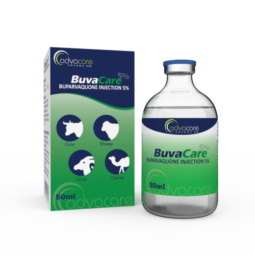 Buparvaquone Injection (1 box and 1 vial)