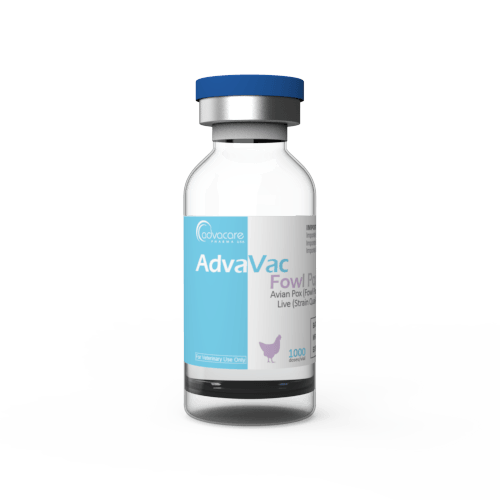 Variole aviaire (Variole aviaire)