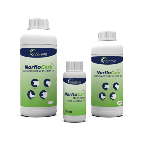 Norfloxacin Oral Solution (100ml bottle, 500ml bottle and 1L bottle)