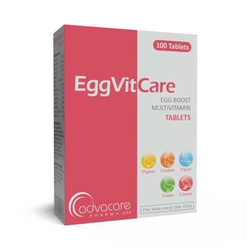 Comprimés Multivitamines Egg Boost (boîte de 100 comprimés)