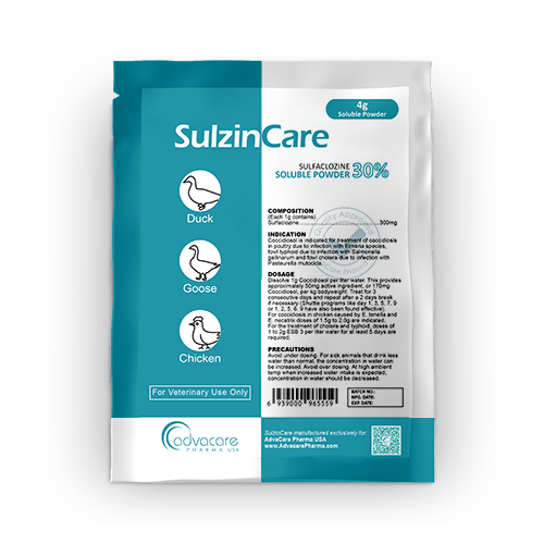 Sulfaclozine Soluble Powder (1 sachet)