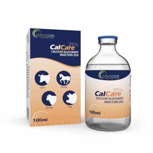 Calcium Gluconate Injection (1 box and 1 vial)