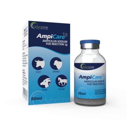 Ampicillin Sodium for Injection (1 box and 1 vial)