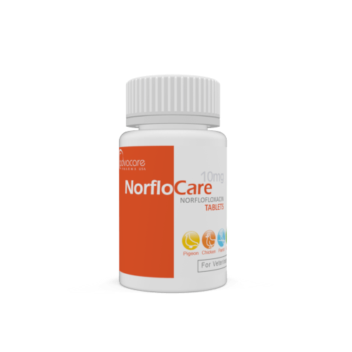 Norfloxacin Tablets (bottle of 100 tablets)