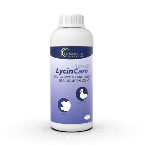 Spectinomycin + Lincomycin Oral Solution (1 bottle)