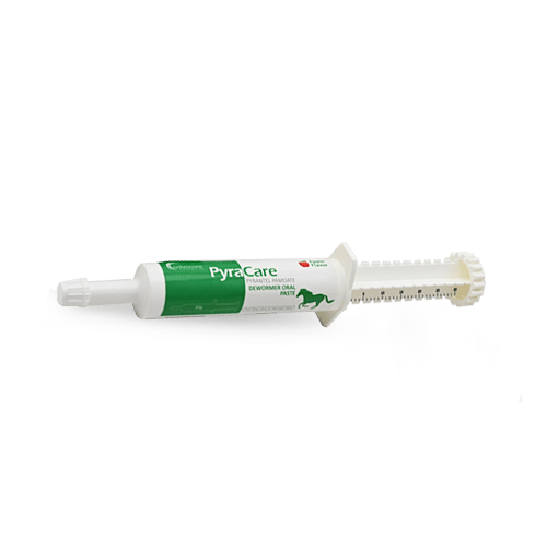 Pyrantel Pamoate Oral Paste (1 syringe)