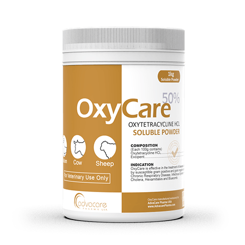 Oxytetracycline HCl Soluble Powder (1 bottle)