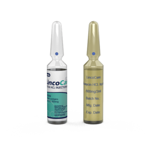 Lincomycin HCl Injection (1 ampoule ceramic printing and 1 ampoule labelling)