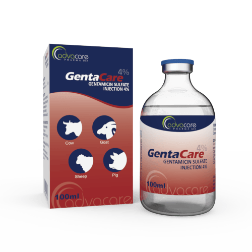 Gentamicin Sulfate Injection (1 box and 1 vial)