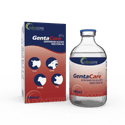 Gentamicin Sulfate Injection (1 box and 1 vial)