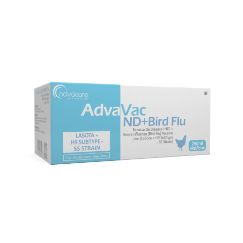 Newcastle Disease (ND) + Avian Influenza (Bird Flu) Vaccine (box of 1 vial)
