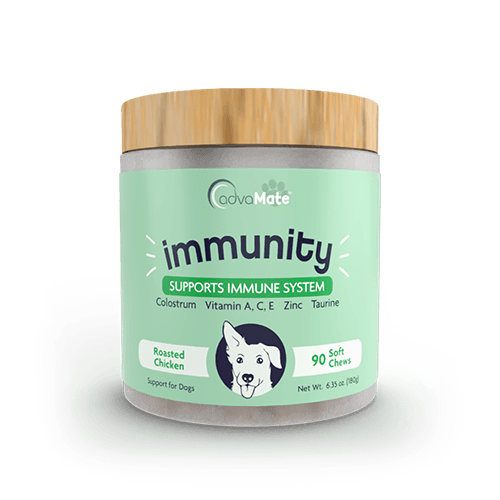 Immunity Soft Chews (1 bottle)