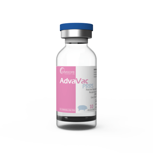 Porcine Reproductive and Respiratory Syndrome (PRRS) Vaccine (1 vial)