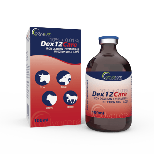 Injection de Dextran de Fer + Vitamine B12 (1 boîte et 1 flacon)